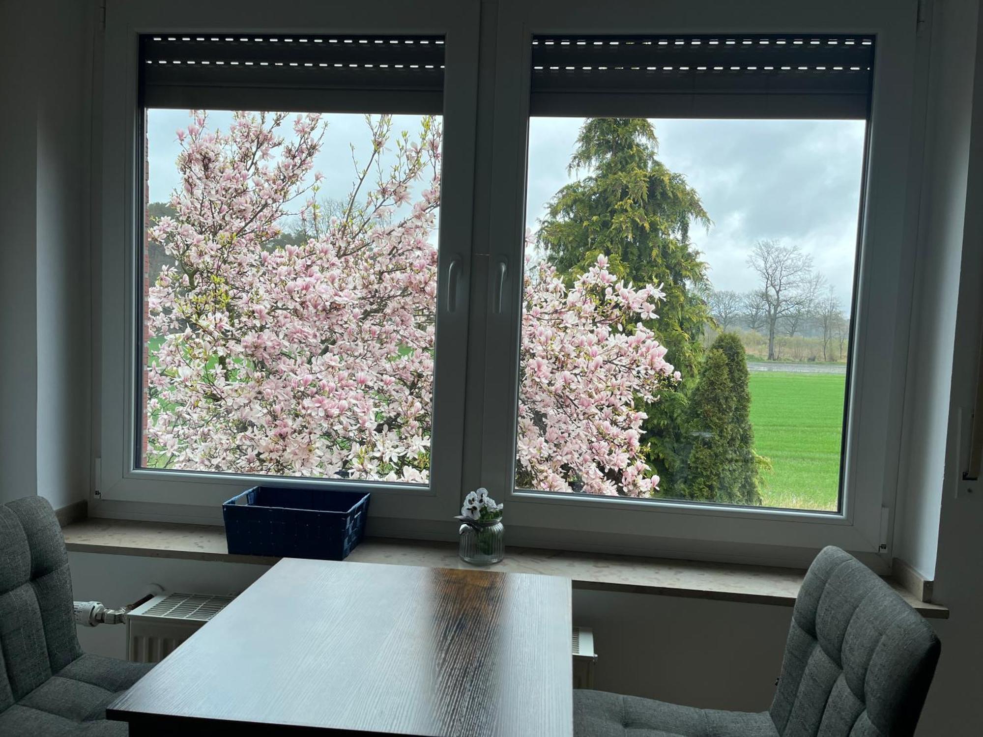 Wunderschoene Ferienwohnung Mit Balkon Auf Dem Bauernhof 그레벤 외부 사진